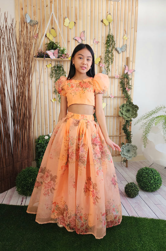 Sunkist Organza Skirt & Top (Lengha Version)