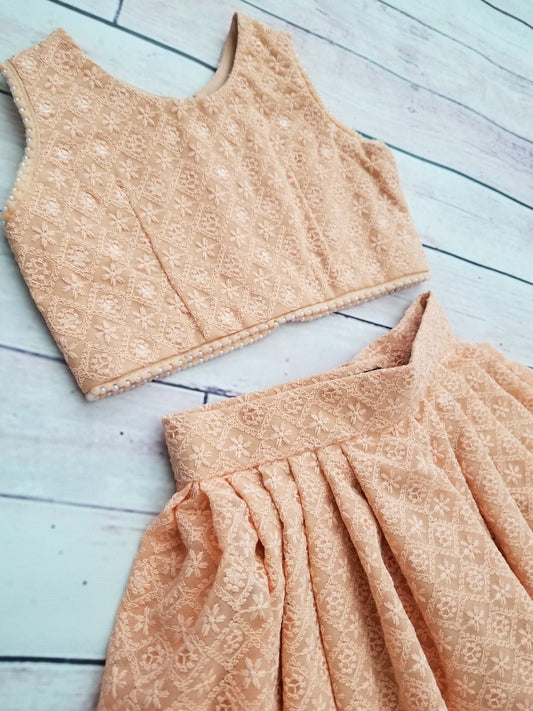 Pari Neeta Skirt & Top